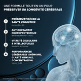 Santé Longévité Capital Cérébral