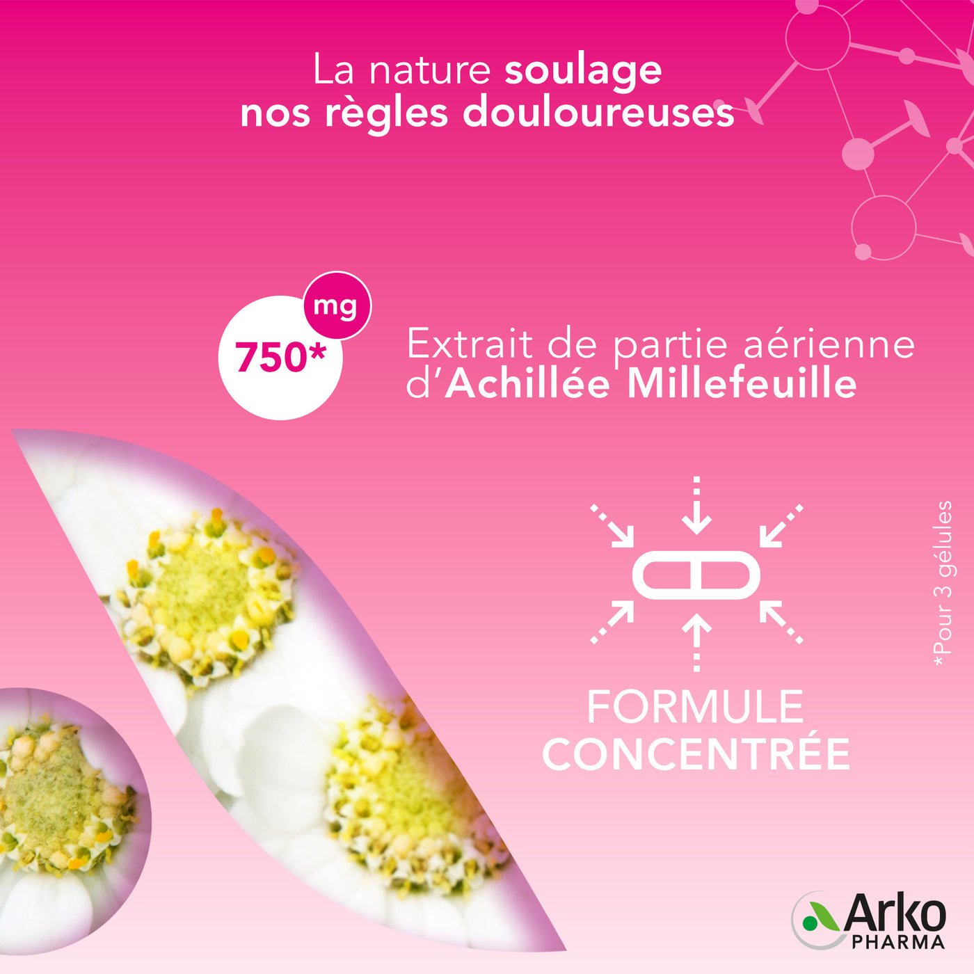 Arkogélules® Achillée Millefeuille