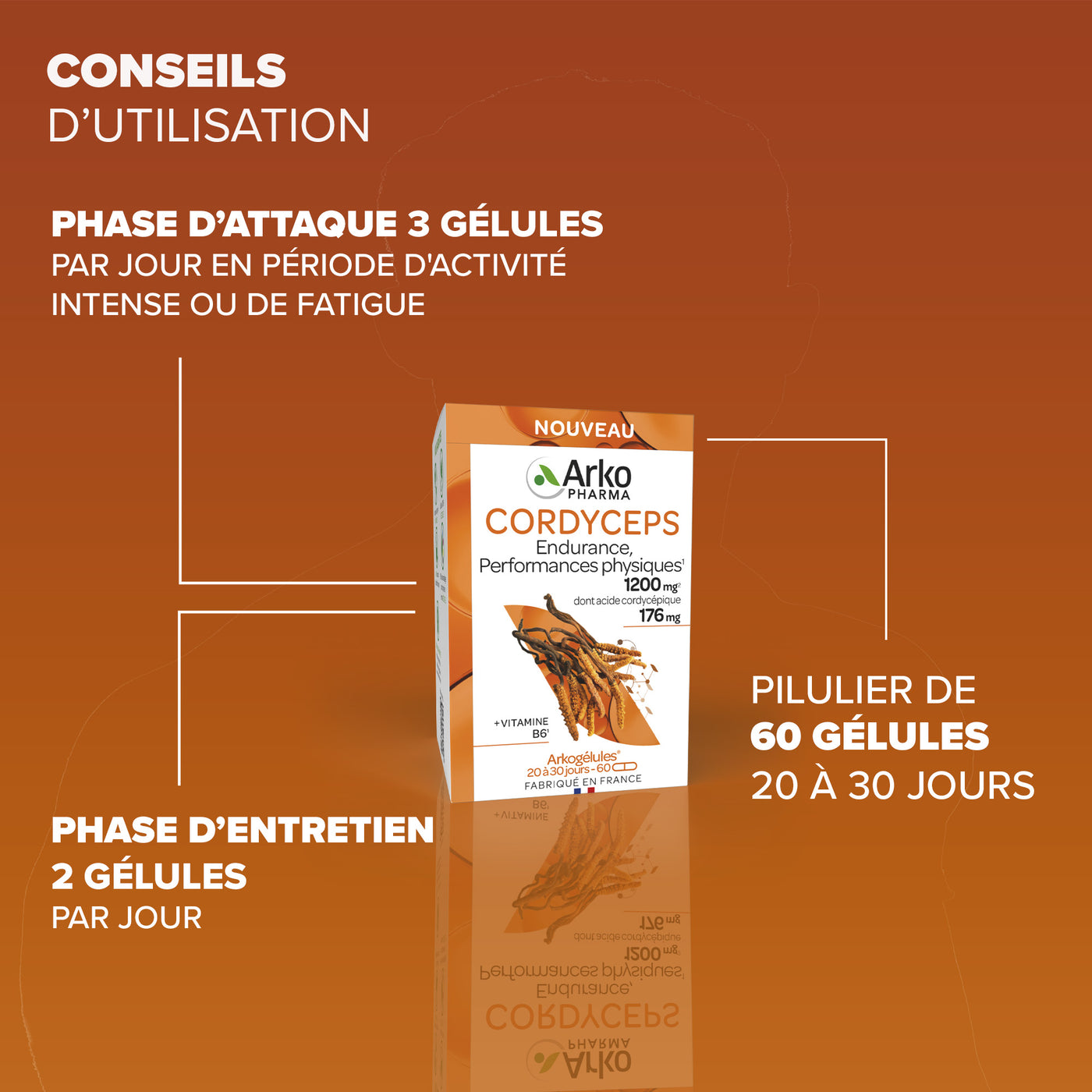 Arkogélules® Cordyceps