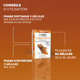 Arkogélules® Cordyceps