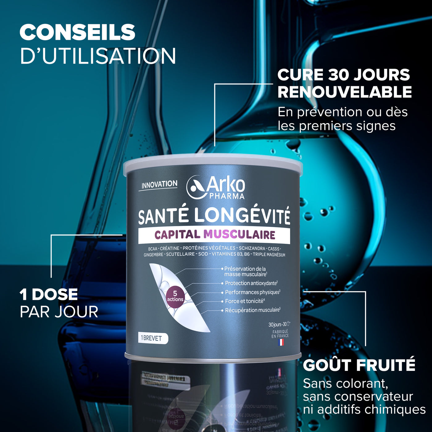 Santé Longévité Capital Musculaire