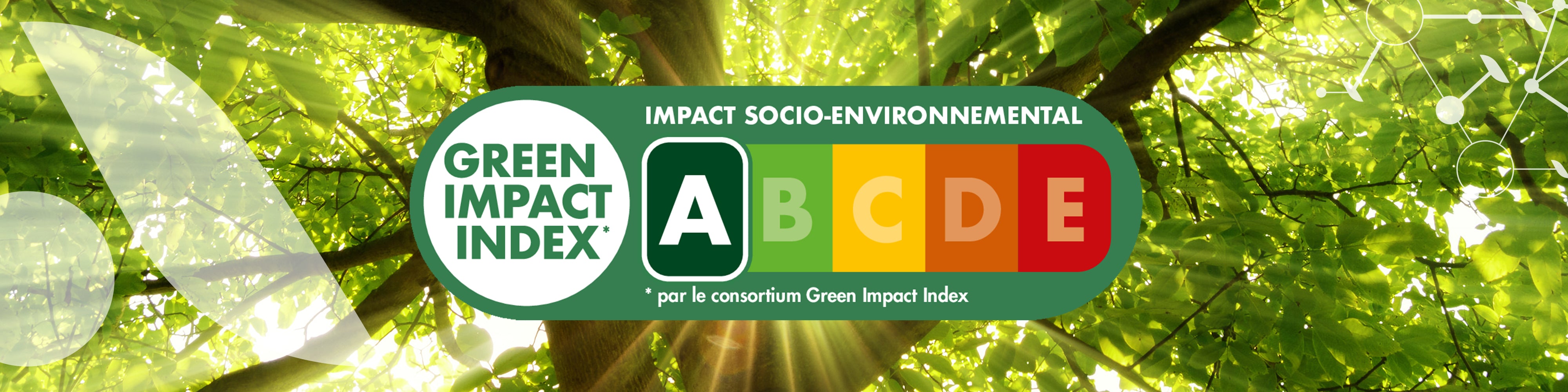 Green Impact Index