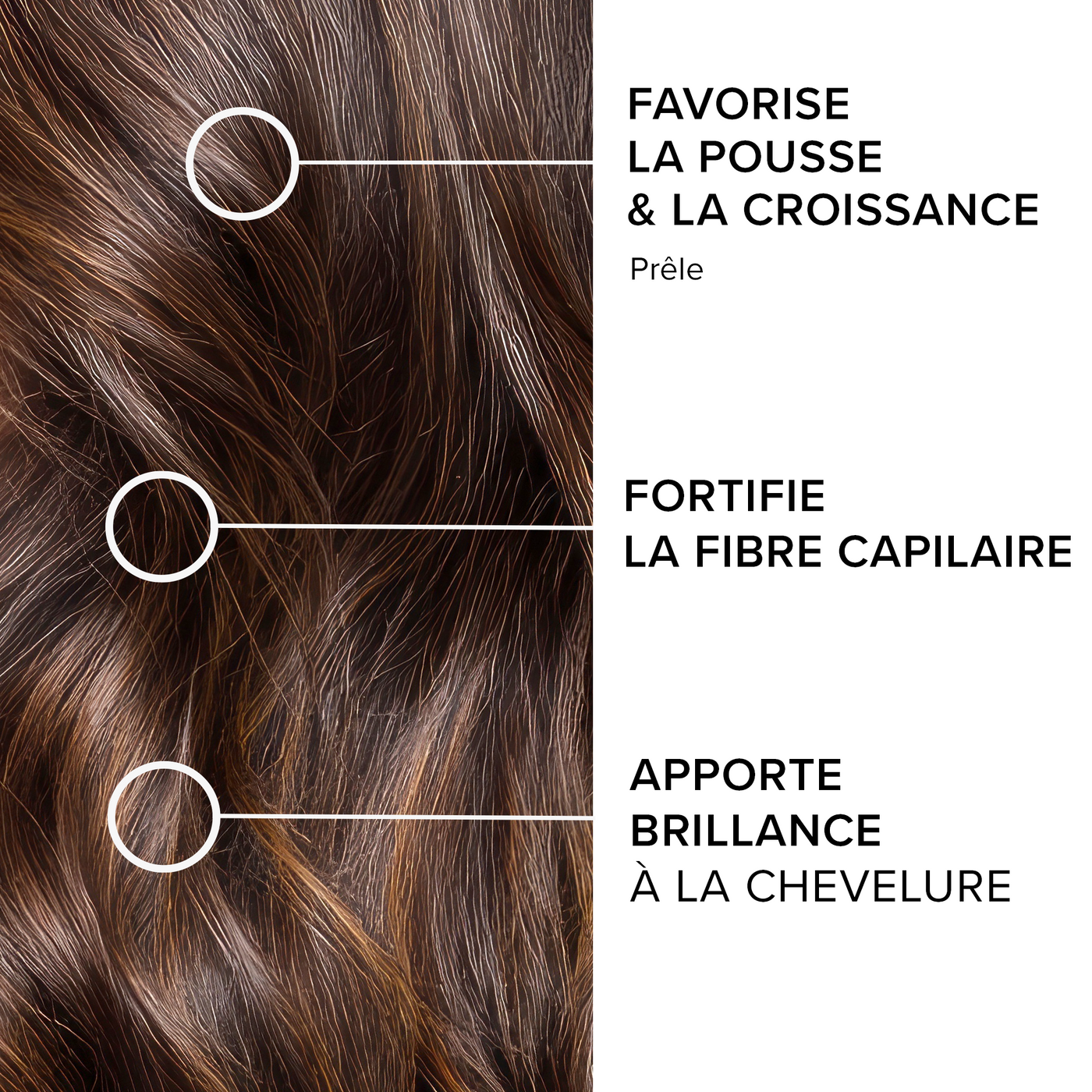 Forcapil® Gummies Croissance