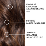 Forcapil® Gummies Croissance