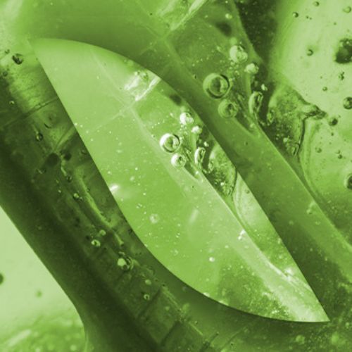 Science, preuve et co-développement