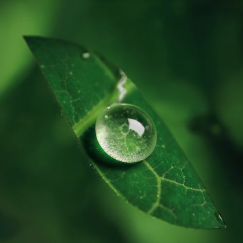 Pourquoi privilégier les solutions naturelles ?