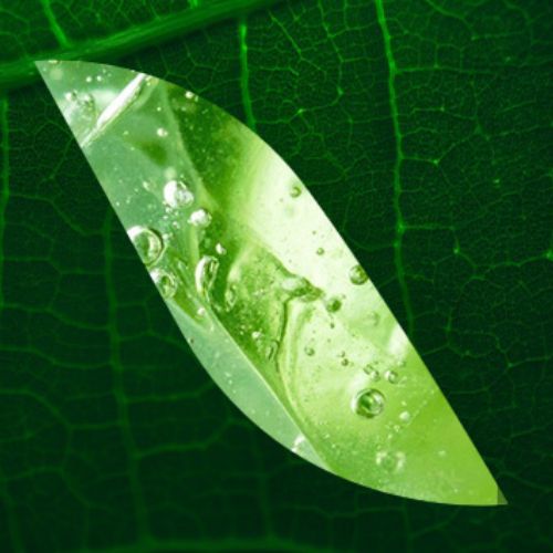 Innovation et suivi de la performance