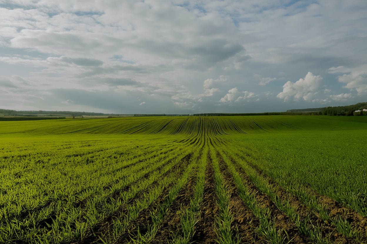 Notre engagement : une santé naturelle et responsable
