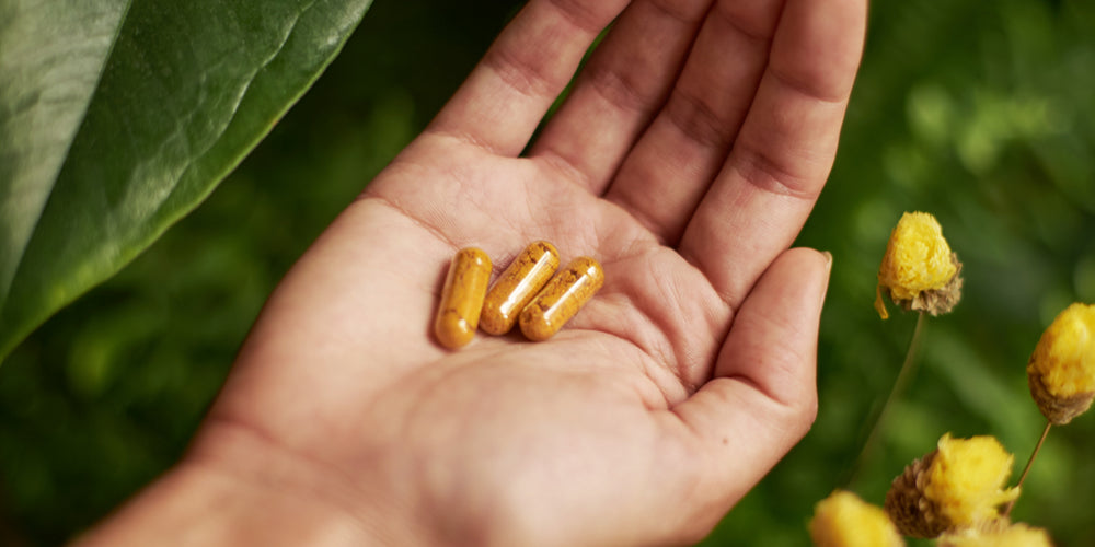 Arkogélules®, des plantes BIO