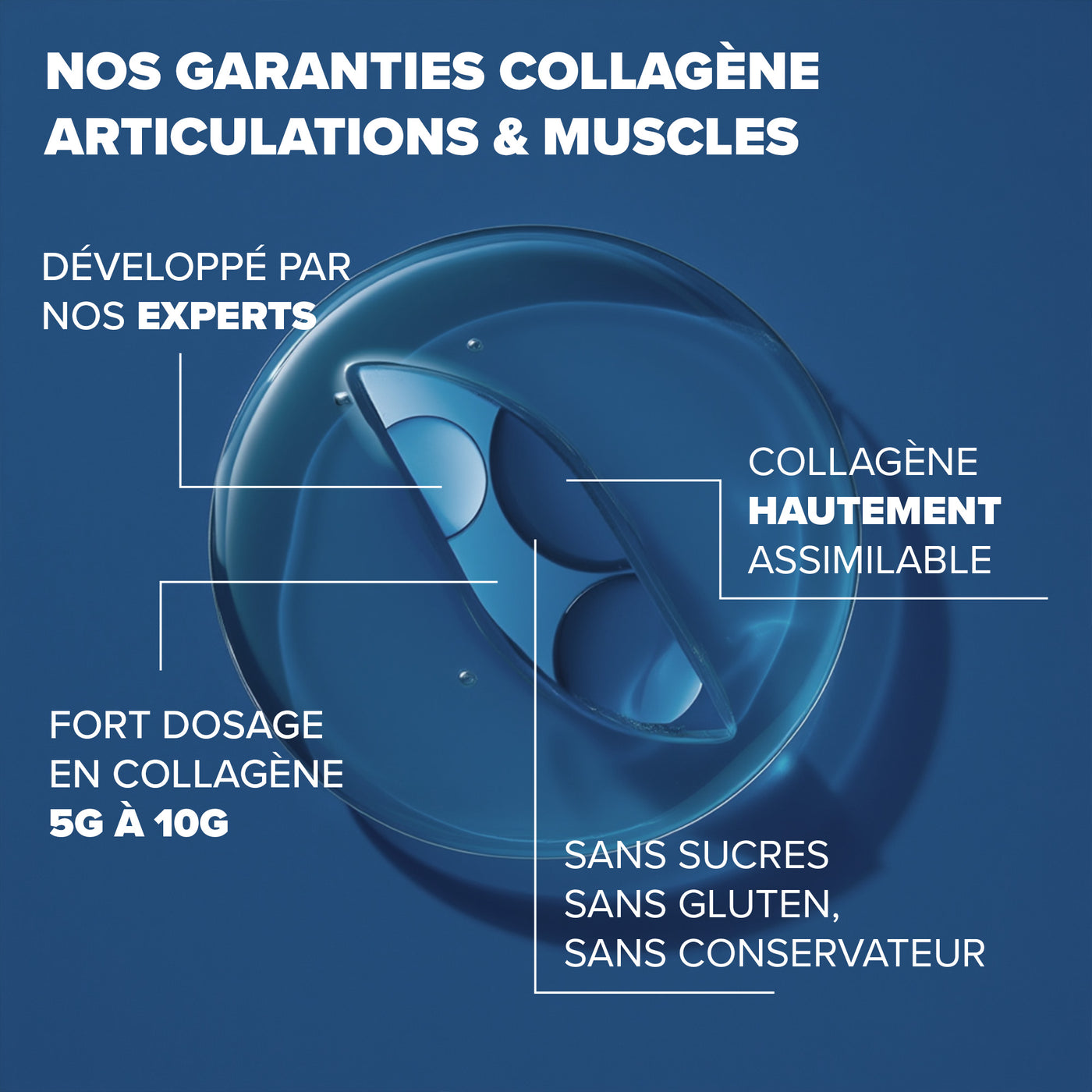 Collagène articulations & muscles