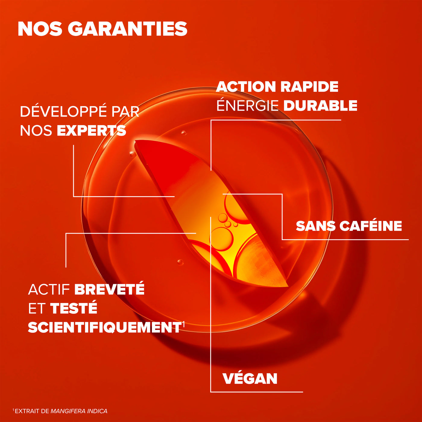 Azinc Expert Fatigue Intense Epuisement