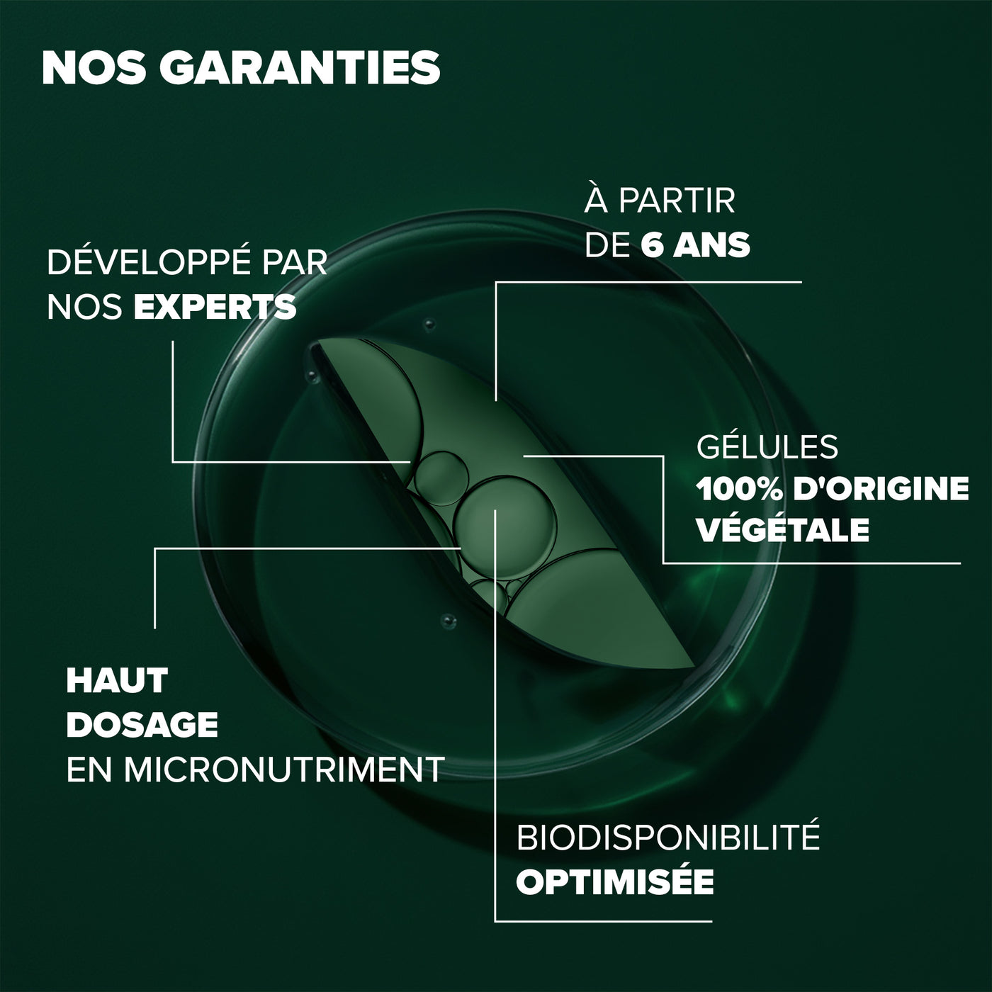 Arkogélules® Fer Liposomal