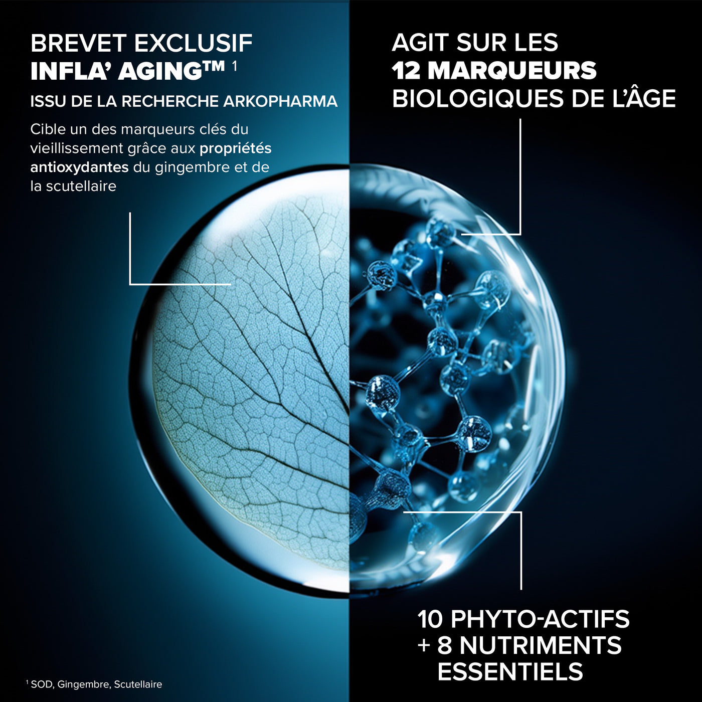 Santé Longévité Prévention globale 12