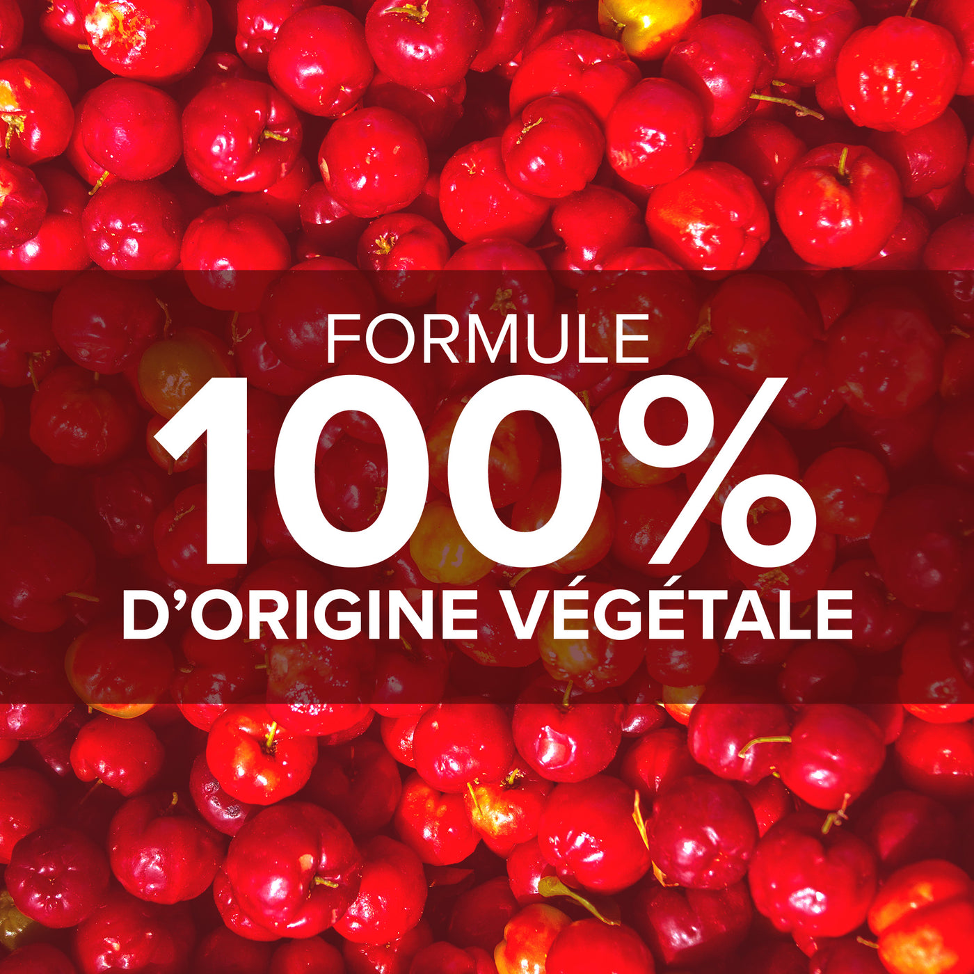 Acérola 1000 - 30 cp.