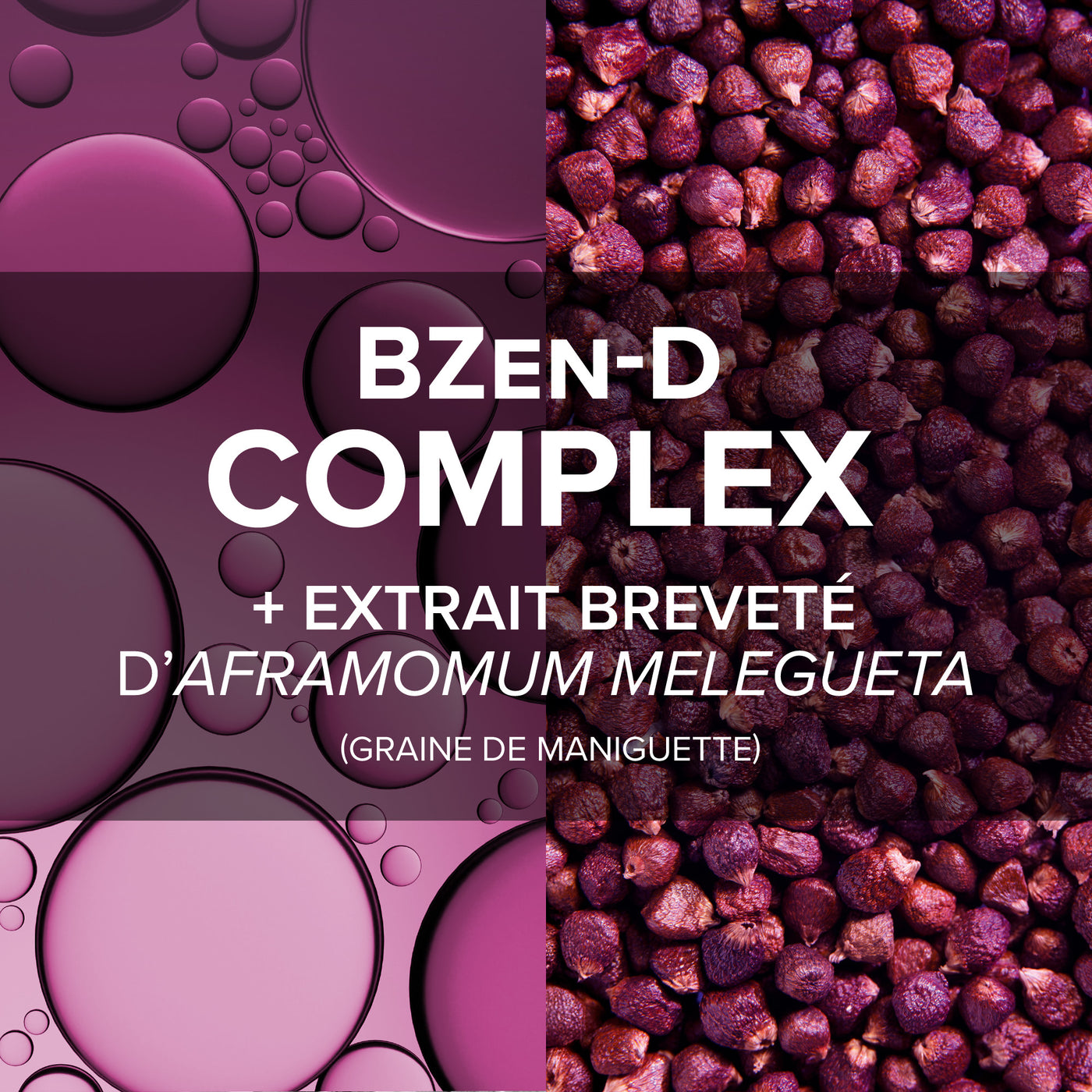 Arkorelax® Sommeil & Anxiété - Format éco 1 mois