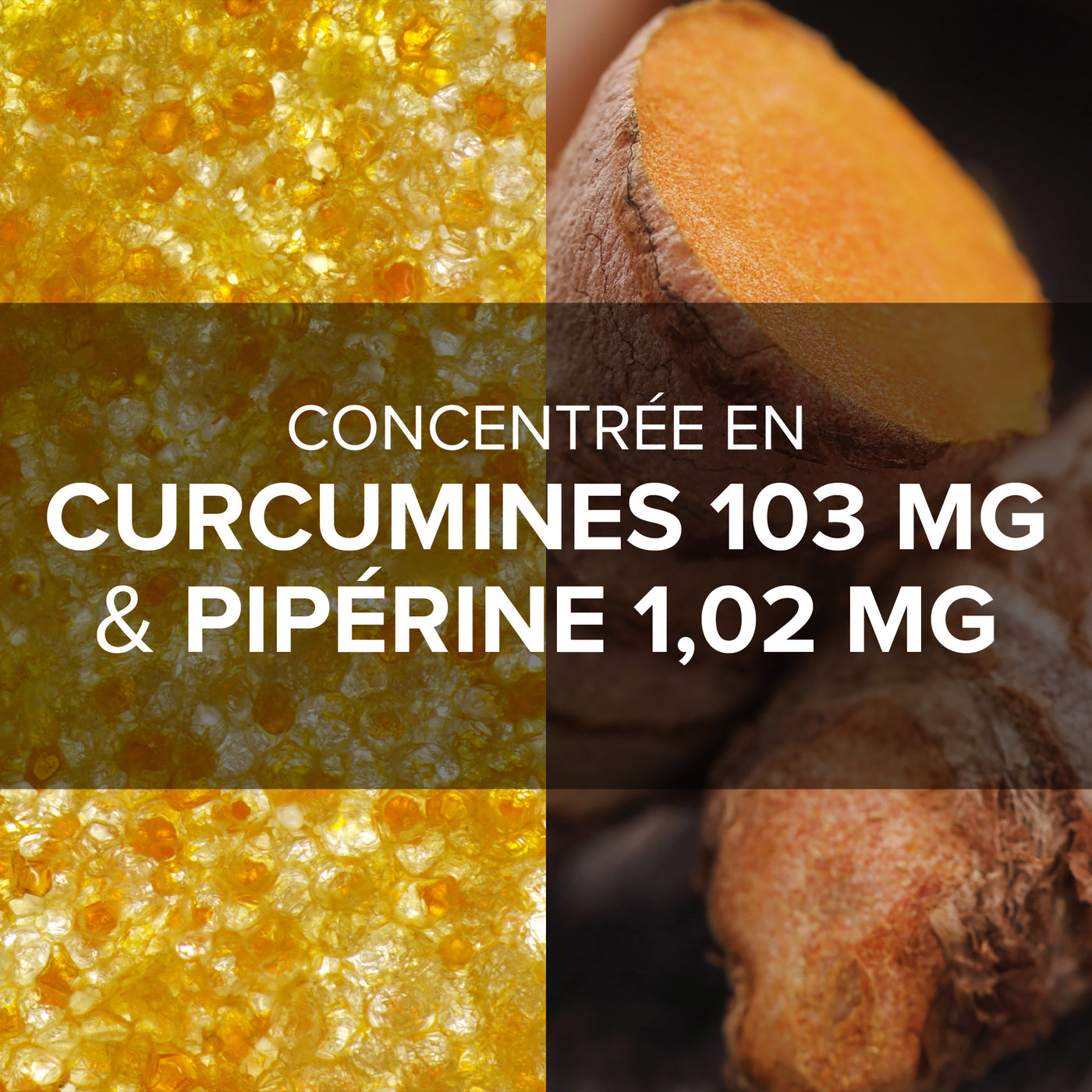 Arkogélules® Curcuma Pipérine