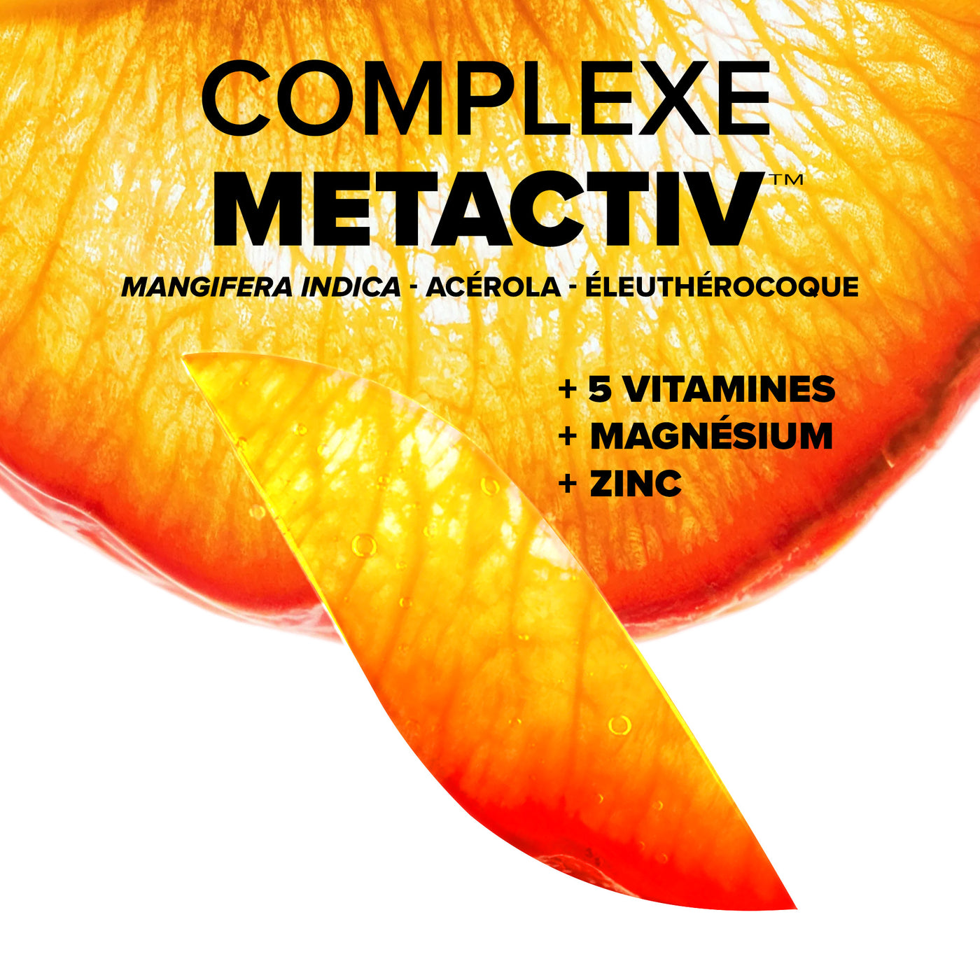 Azinc Expert Fatigue Intense Epuisement