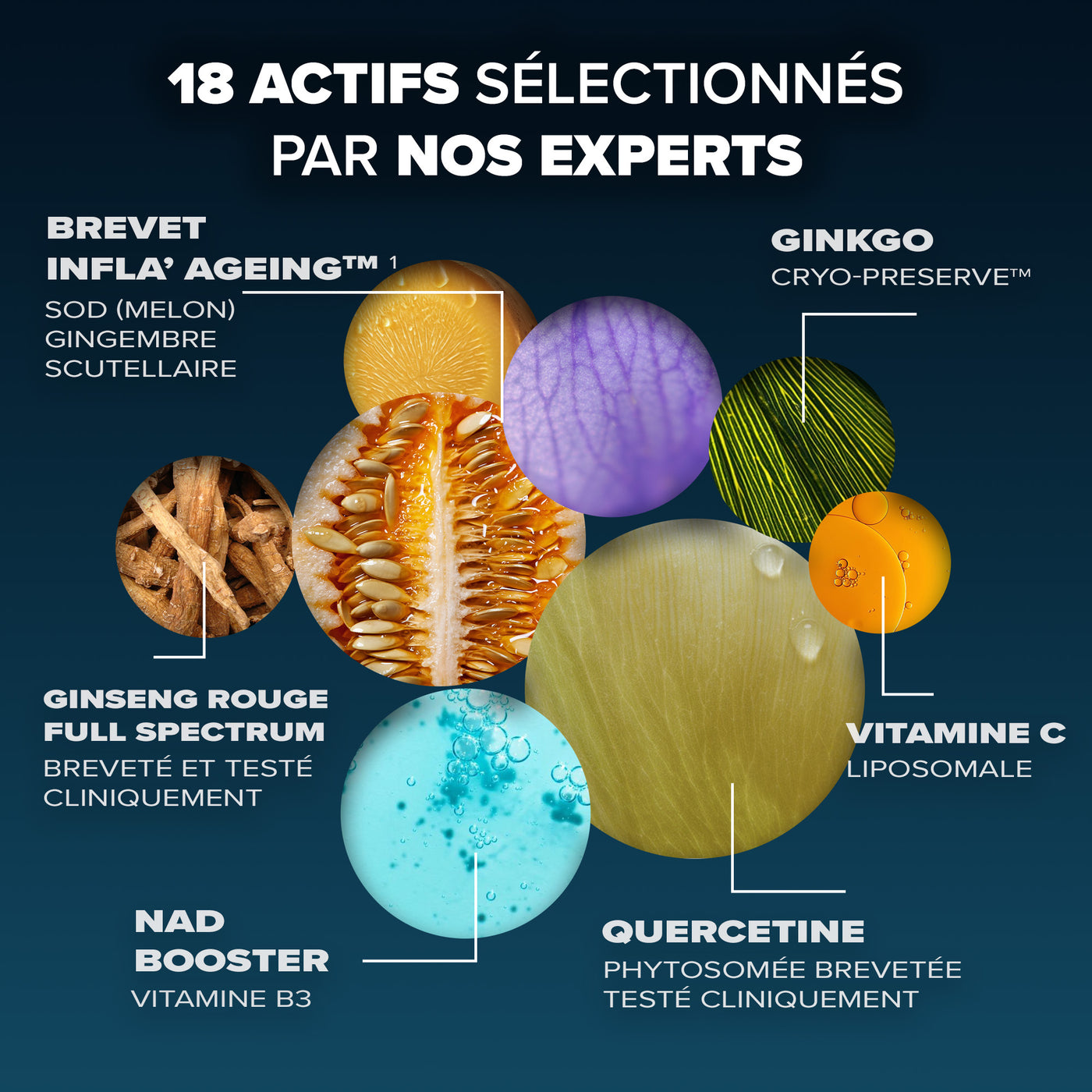 Santé Longévité Prévention globale 12