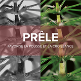 Forcapil® Gummies Croissance