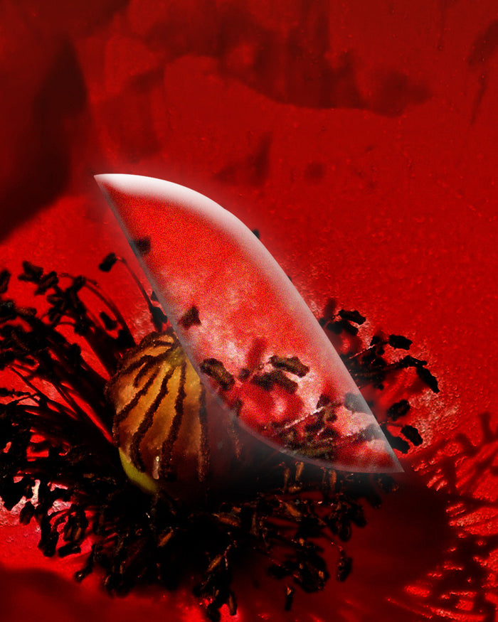 Le [Coquelicot]