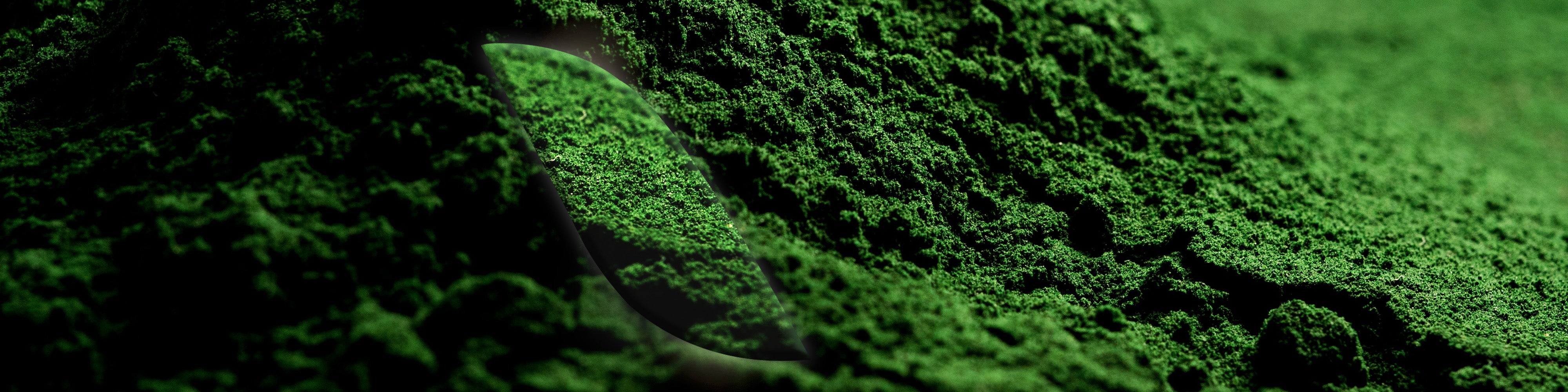 La [Spiruline]