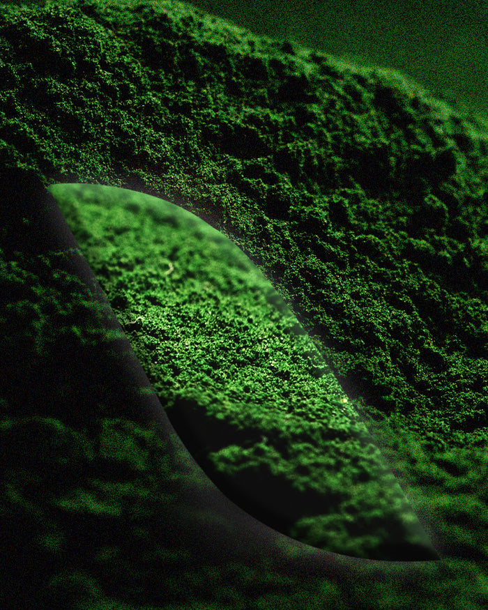 La [Spiruline]