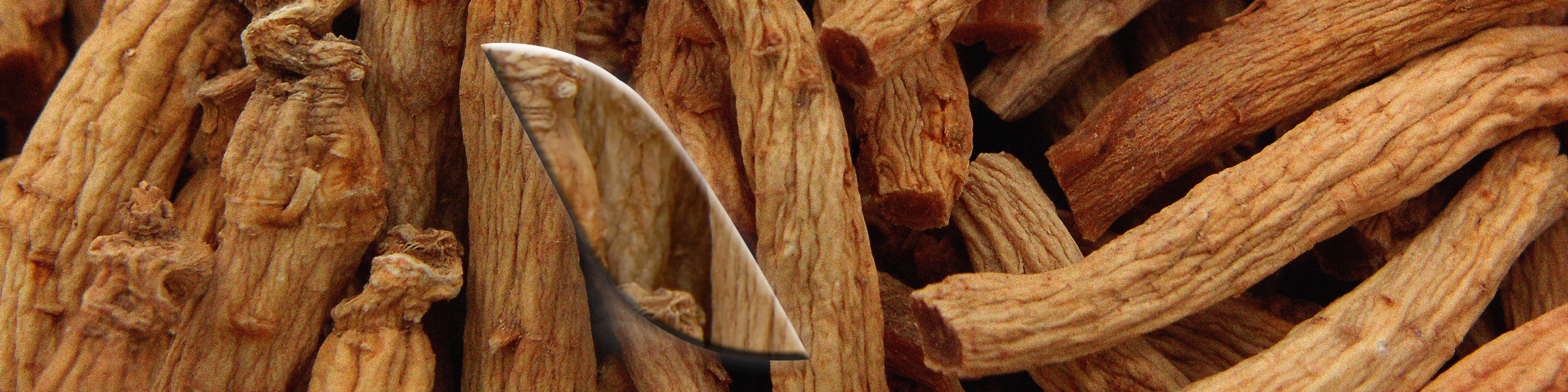 Le [Ginseng]