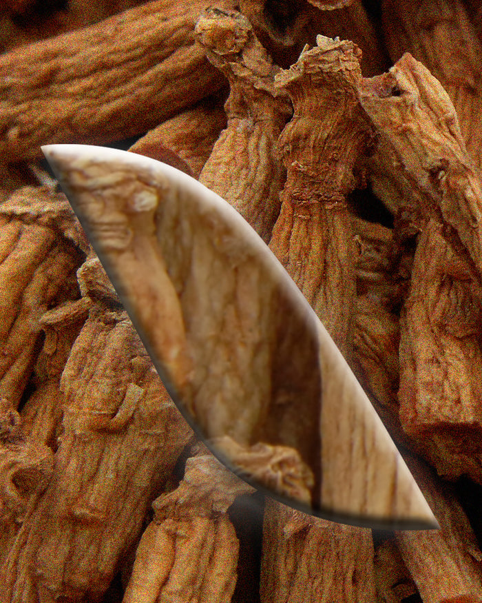 Le [Ginseng]
