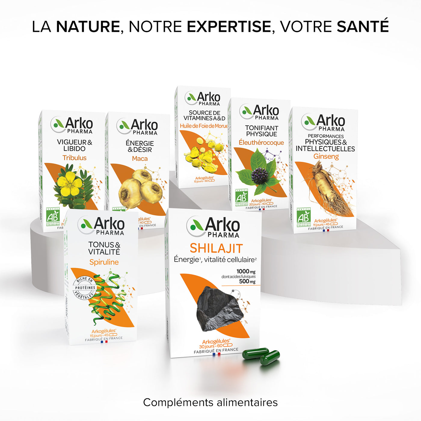 Arkogélules® Shilajit