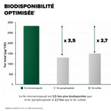 Arkogélules® Fer Liposomal