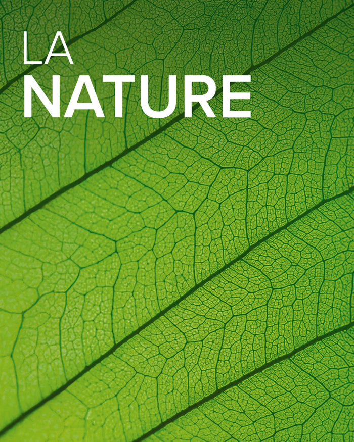 La Nature