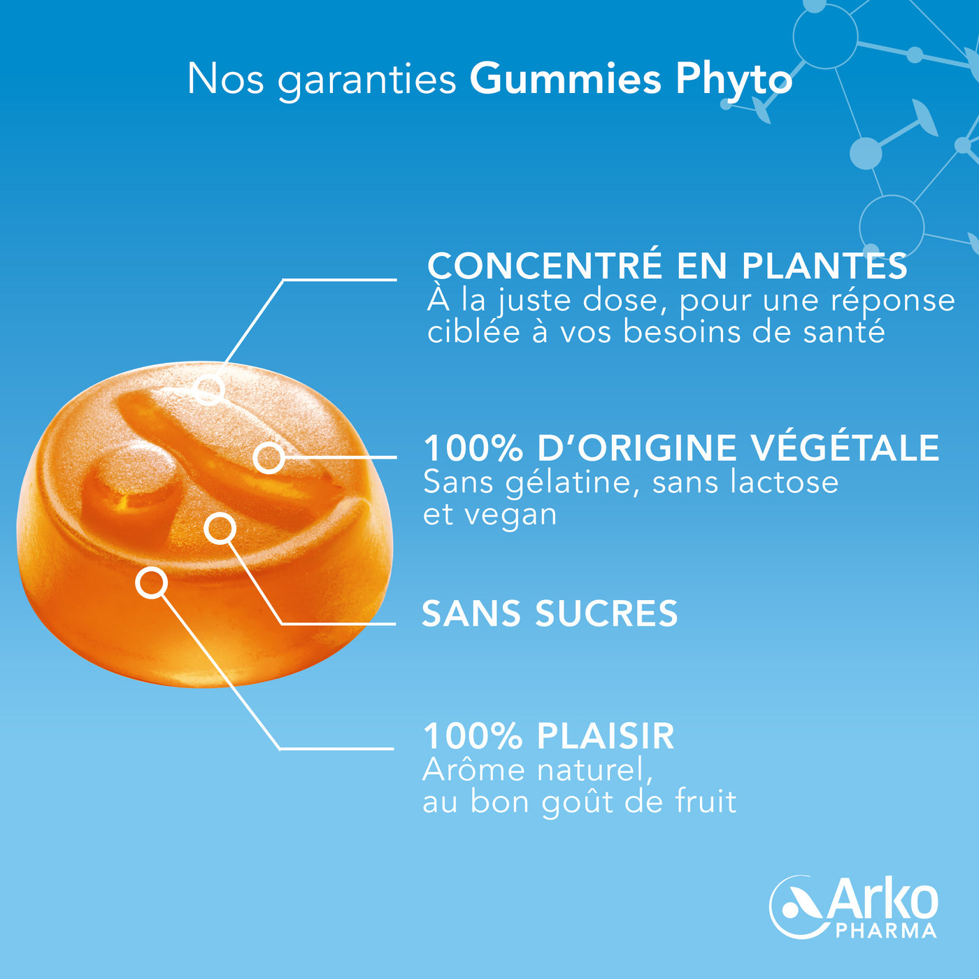 Gummies Phyto Curcuma