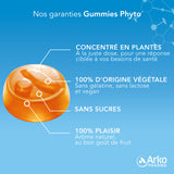 Gummies Phyto Curcuma