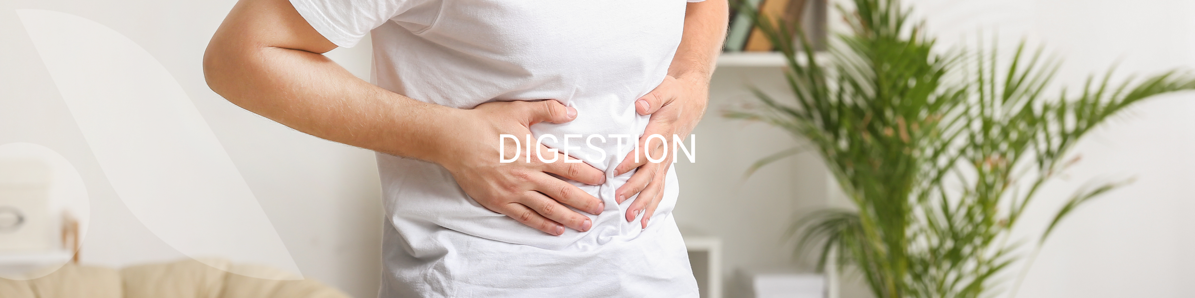 Conseils pour améliorer naturellement la digestion