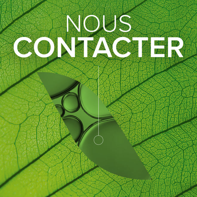 Contactez nous