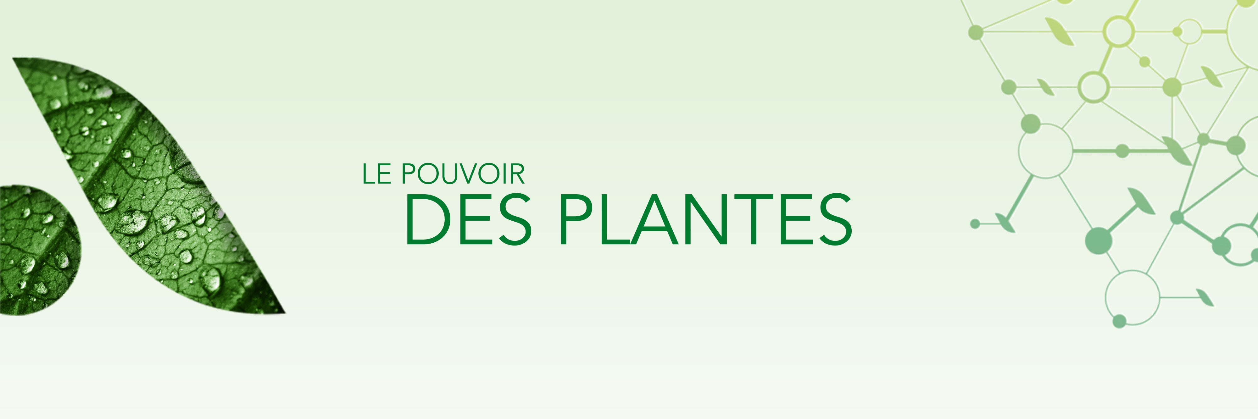 Découvrez la  [saison 2]