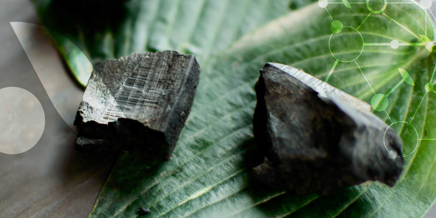 Obtenu à partir de coques de noix de coco ou de bois, il est reconnu pour sa capacité à absorber les gaz et toxines responsables des ballonnements.
