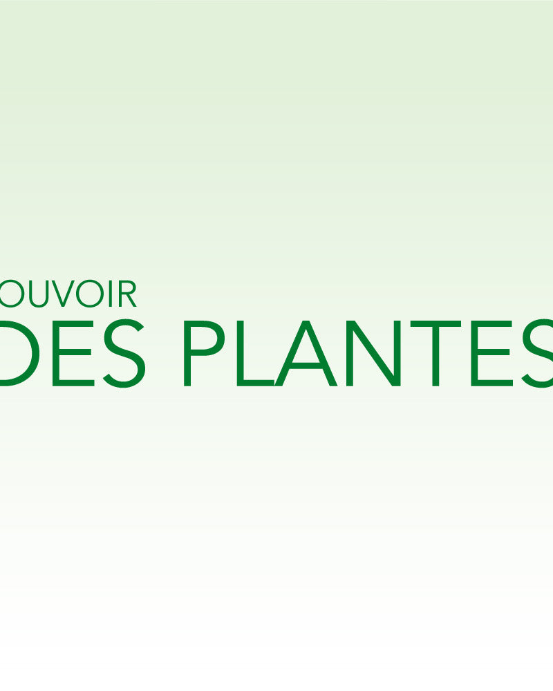 Découvrez la  [saison 2]