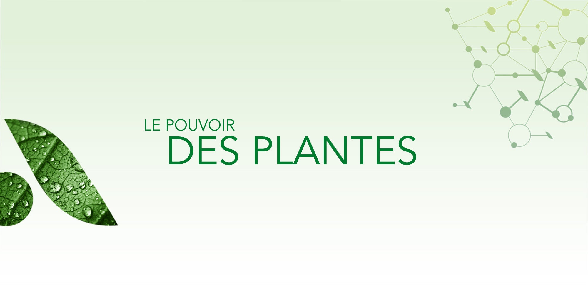 Découvrez la  [saison 3]